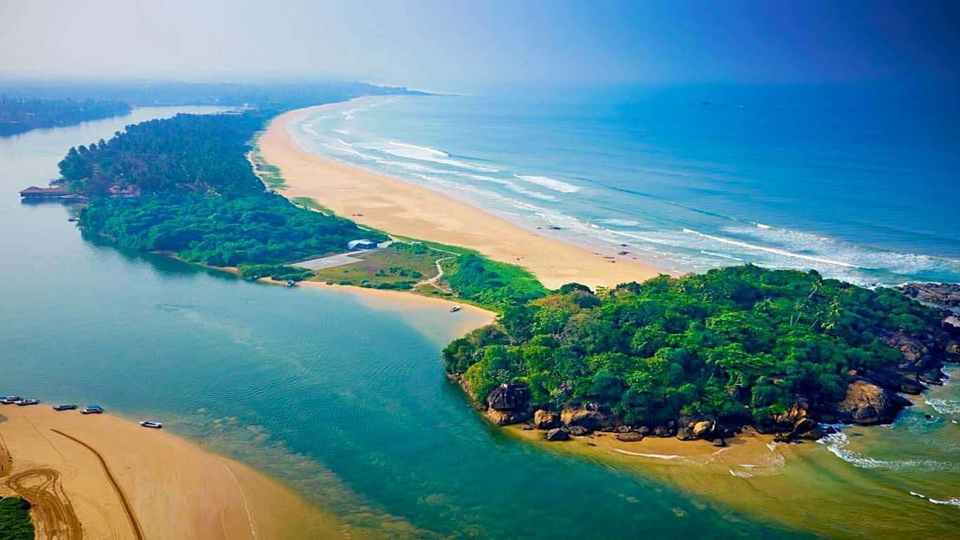 Palm-fringed beach with clear water