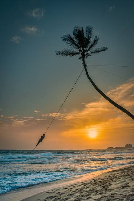 Sun Set