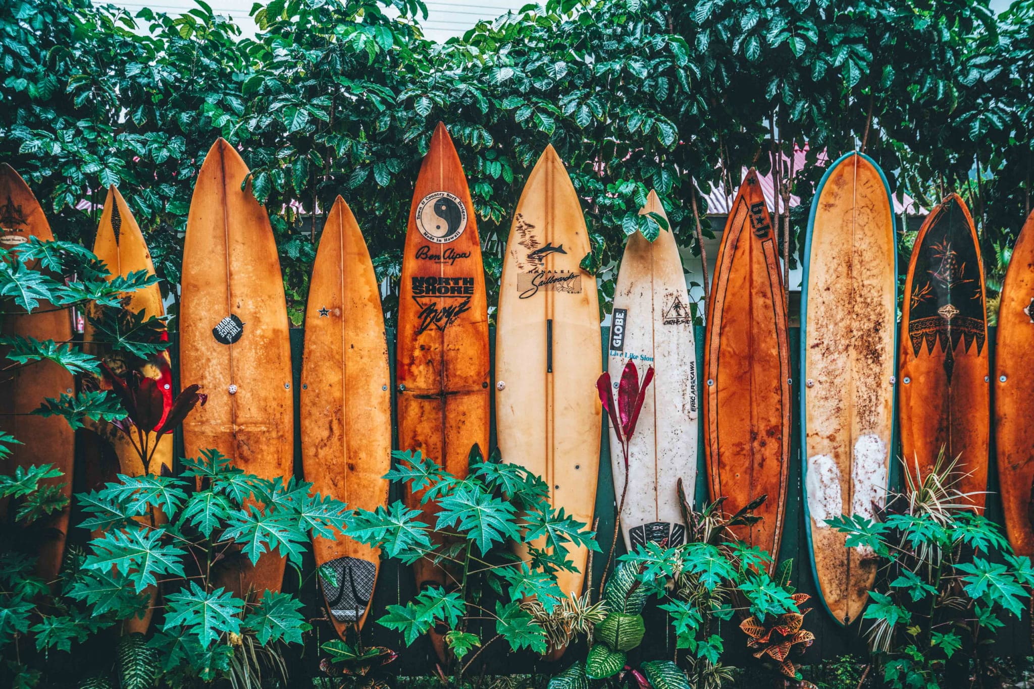 Ride the waves, embrace the coastal lifestyle, and discover the vibrant spirit of Weligama.