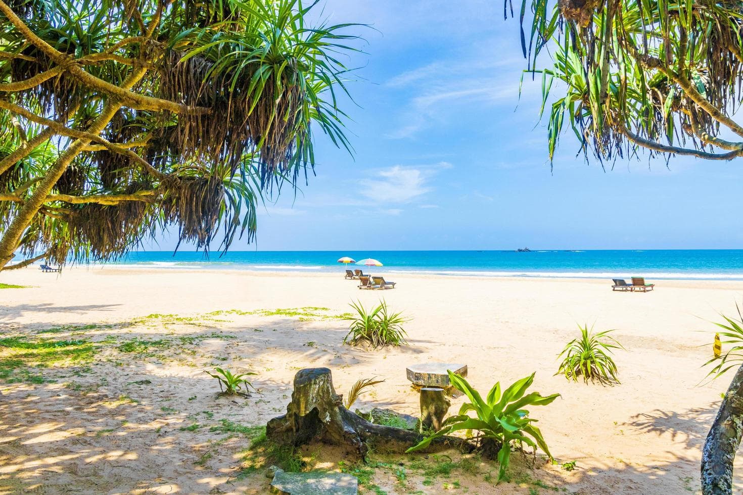 Relax, explore, and enjoy unforgettable coastal experiences in beautiful Bentota.