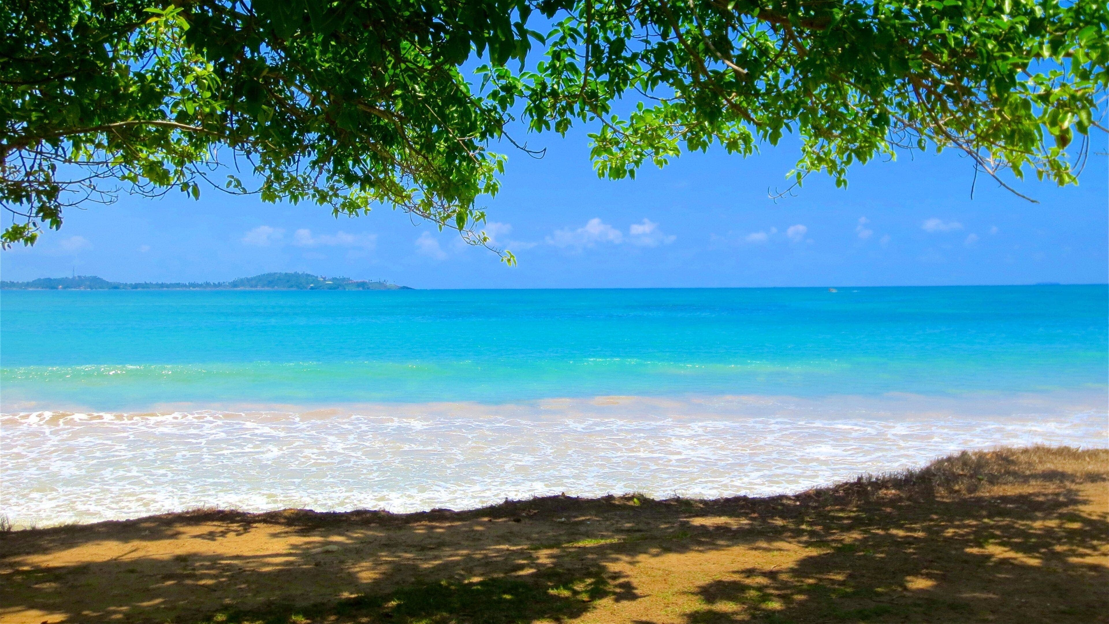 Galle is an excellent base for exploring the southern coastline and nearby beach destinations.