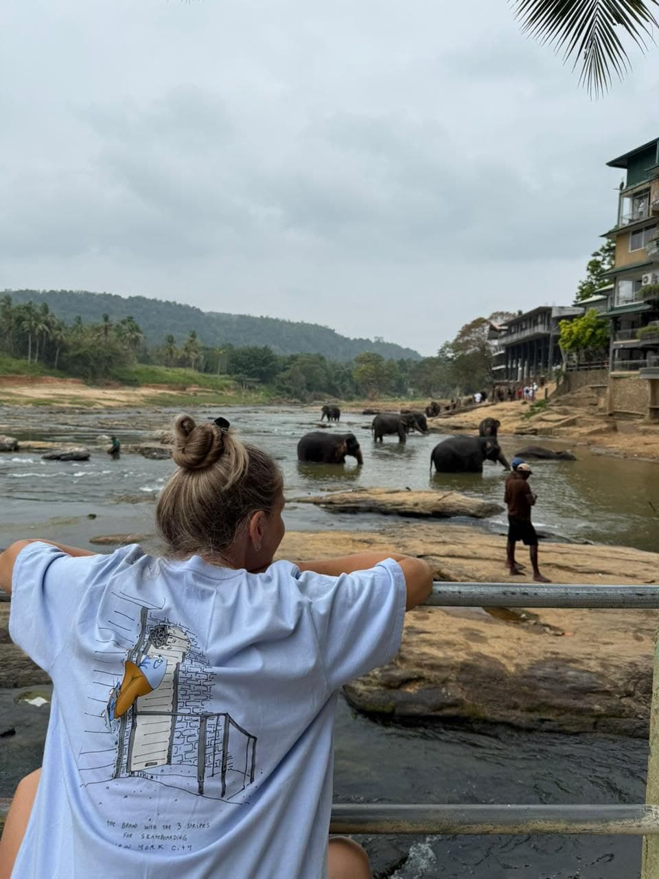 Beautiful Sri Lankan landscape captured during a January travel experience