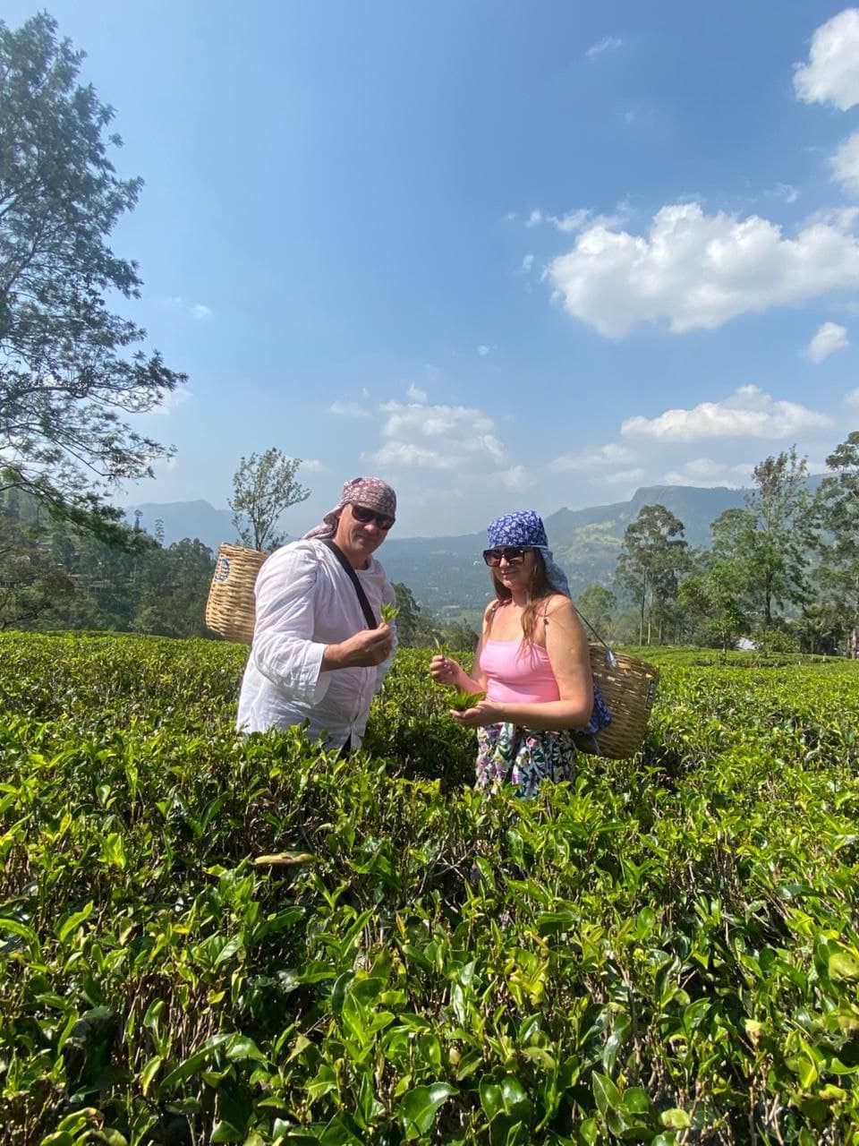 Beautiful Sri Lankan landscape captured during a January travel experience