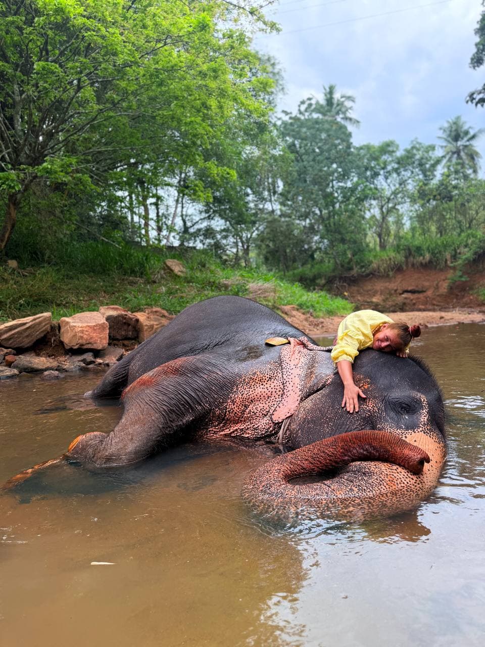 Beautiful Sri Lankan landscape captured during a February travel experience