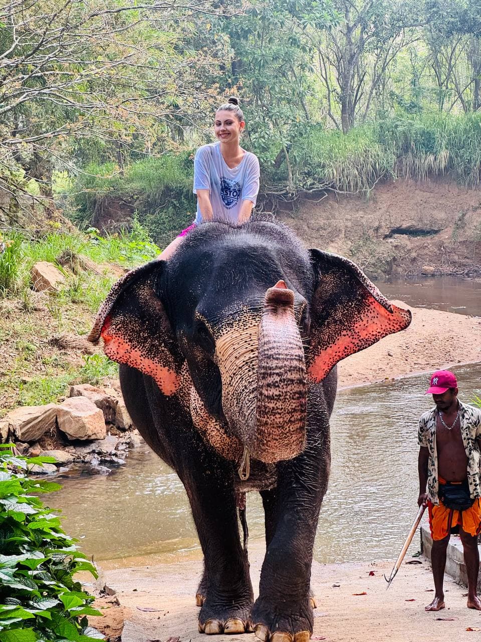 Beautiful Sri Lankan landscape captured during a February travel experience