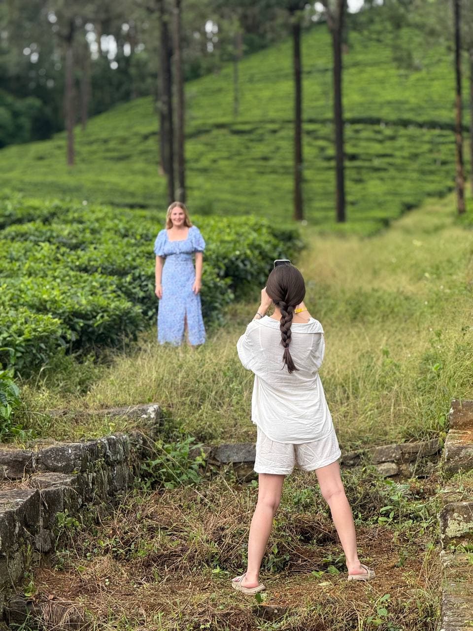 Sri Lankan train traveling through green mountain landscapes and tea plantations
