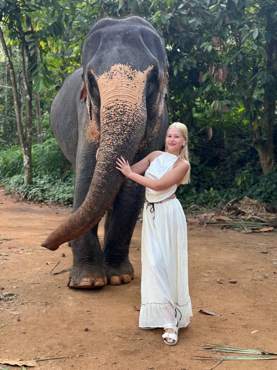 Experience Sri Lankan Wildlife